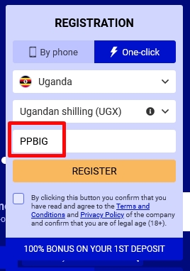 Pari Pesa registration form