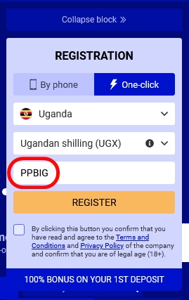 Pari Pesa registration form