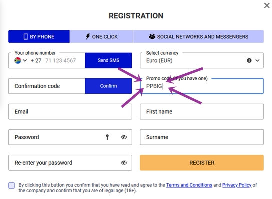 Pari Pesa registration form